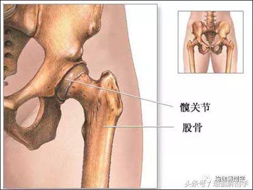 初学者都没搞懂的10个常见“瑜伽口令”你弄懂了吗？(图4)