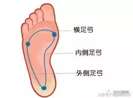 初学者都没搞懂的10个常见“瑜伽口令”你弄懂了吗？(图2)