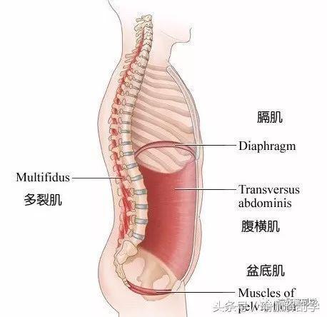 初学者都没搞懂的10个常见“瑜伽口令”你弄懂了吗？(图6)