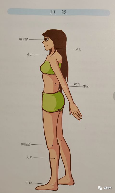 万博全站ManBetX官网阴瑜伽与我们的经络之胆经—排解积虑通道(图2)